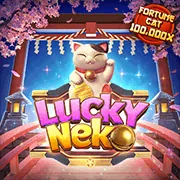 Lưu ý quan trọng về an toàn khi liên hệ Vando88