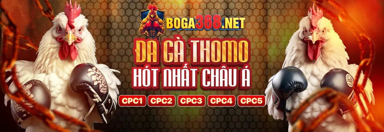 Các tính năng nổi bật của ứng dụng Vando88