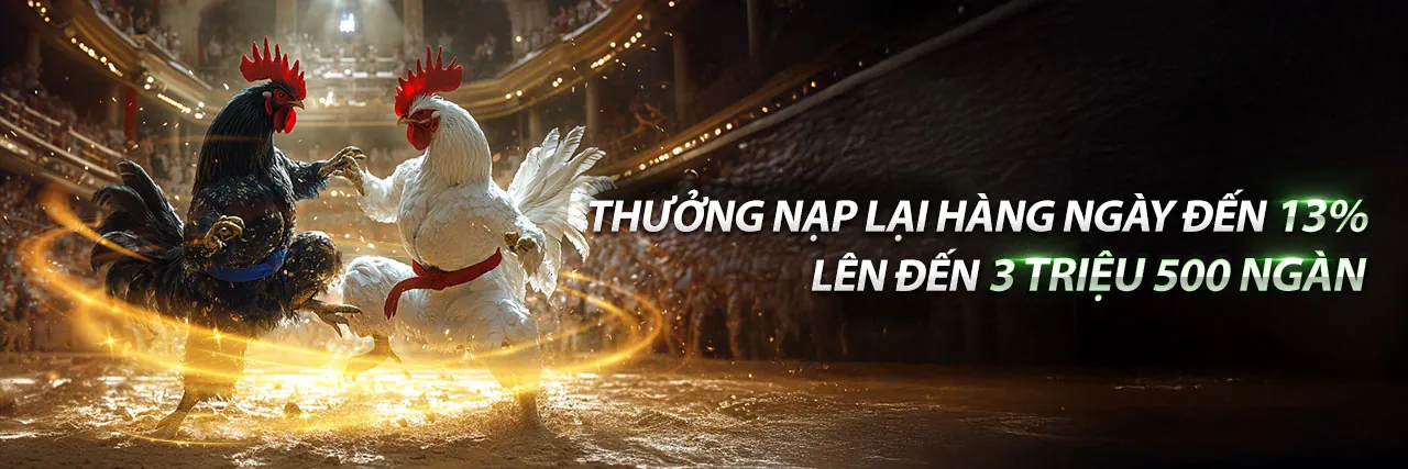 Cá cược thể thao Vando88