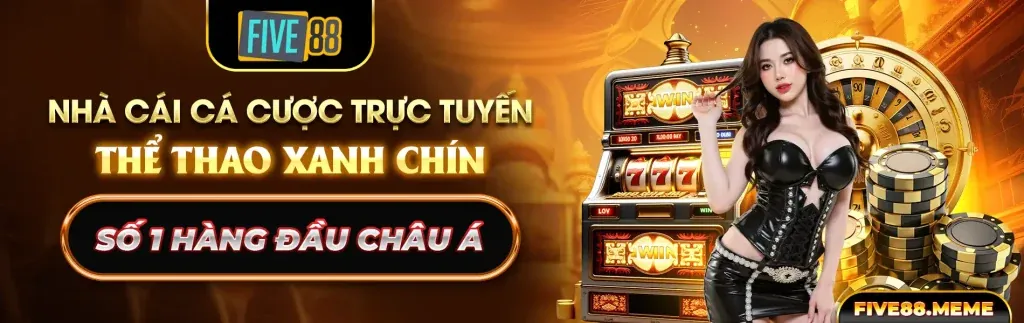 Hoàn Trả Hàng Ngày và VIP