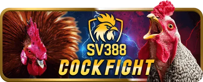 Vando88 Ưu Đãi Đăng Ký Người Dùng Mới