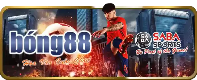 Hỗ trợ khách hàng Vando88